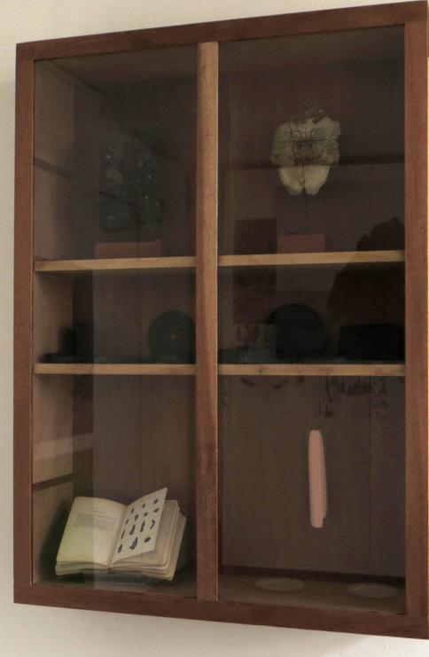 vitrine de collectionneur